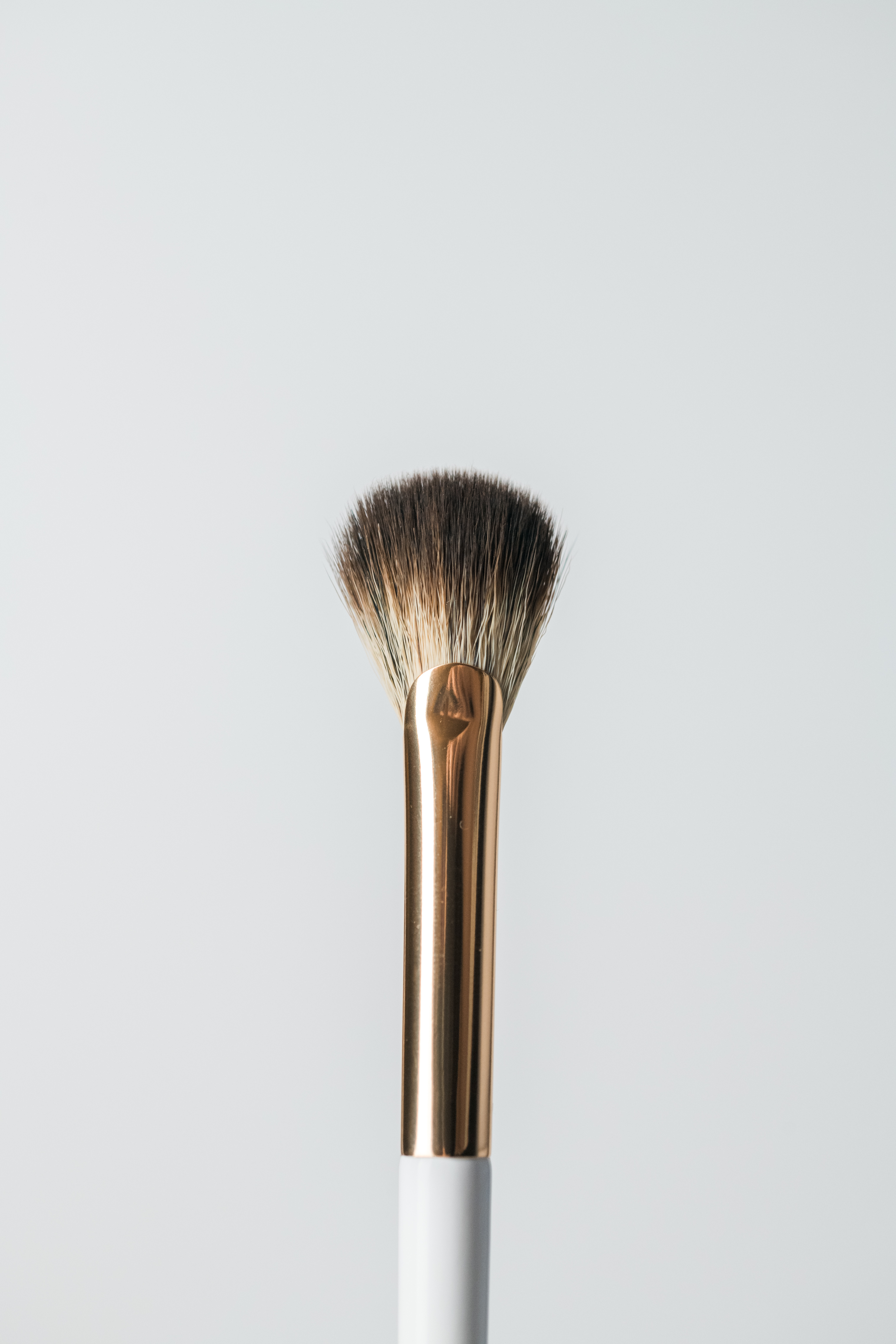 Petite brosse éventail (E11)