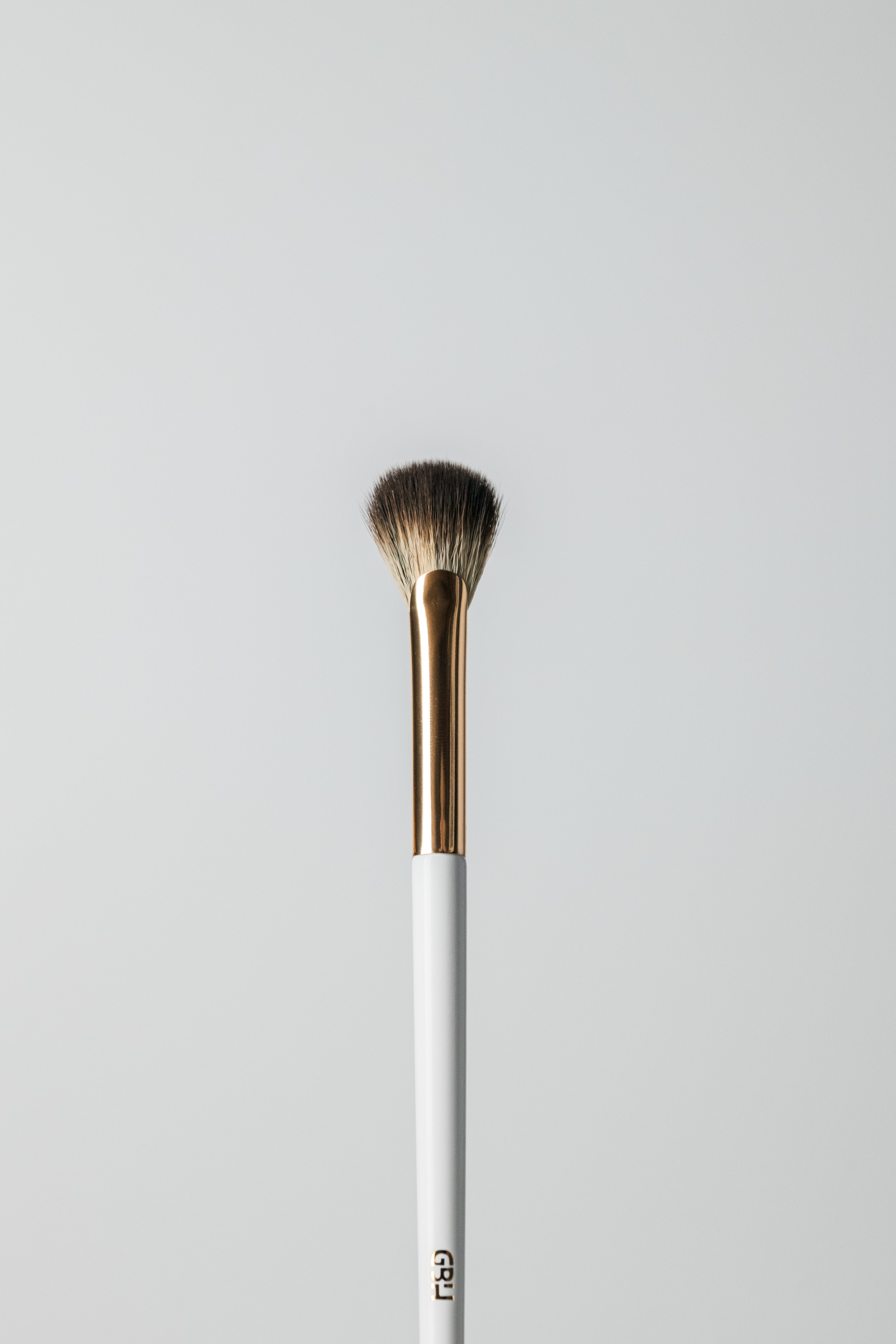 Petite brosse éventail (E11)
