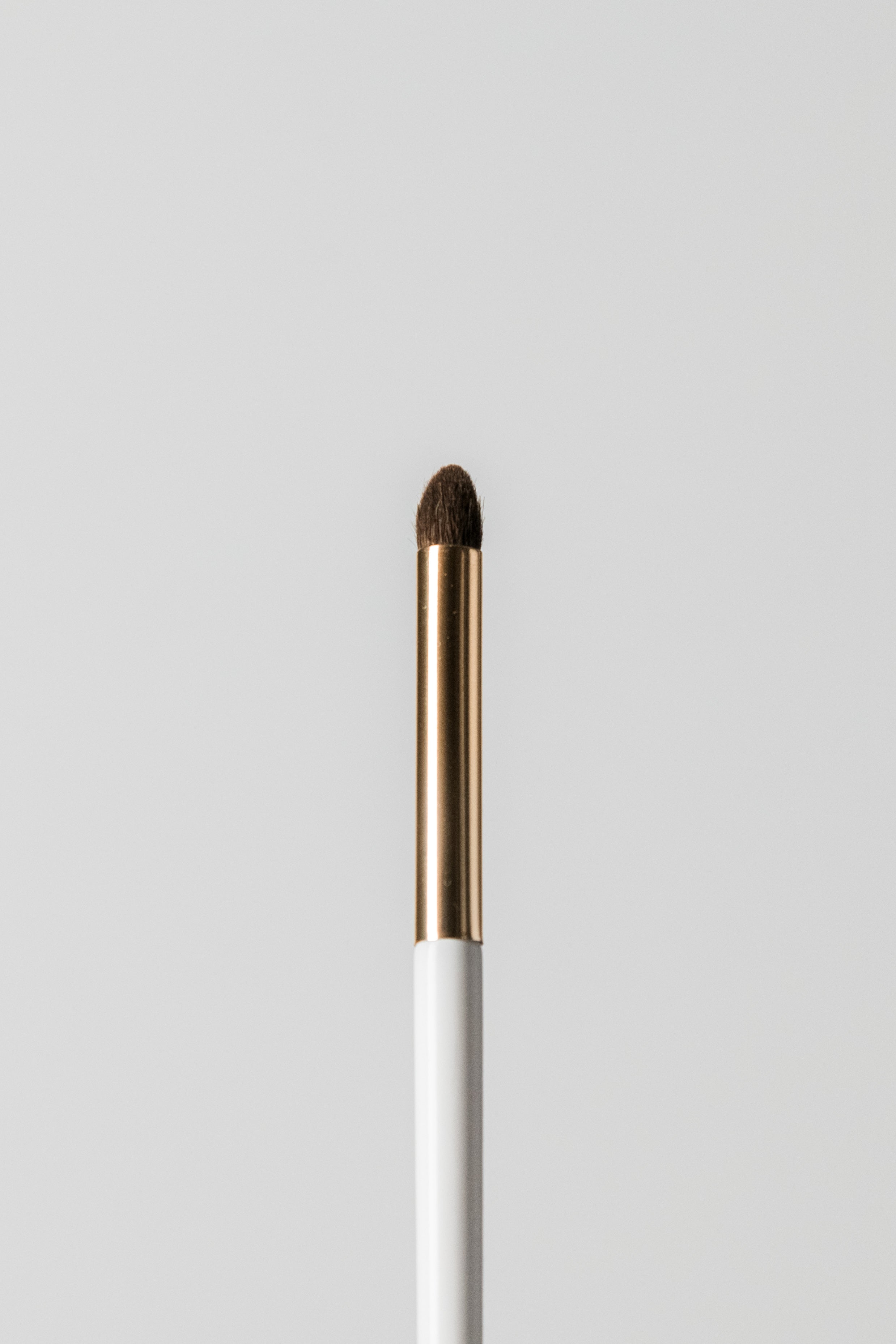 Pencil Brush (E5)