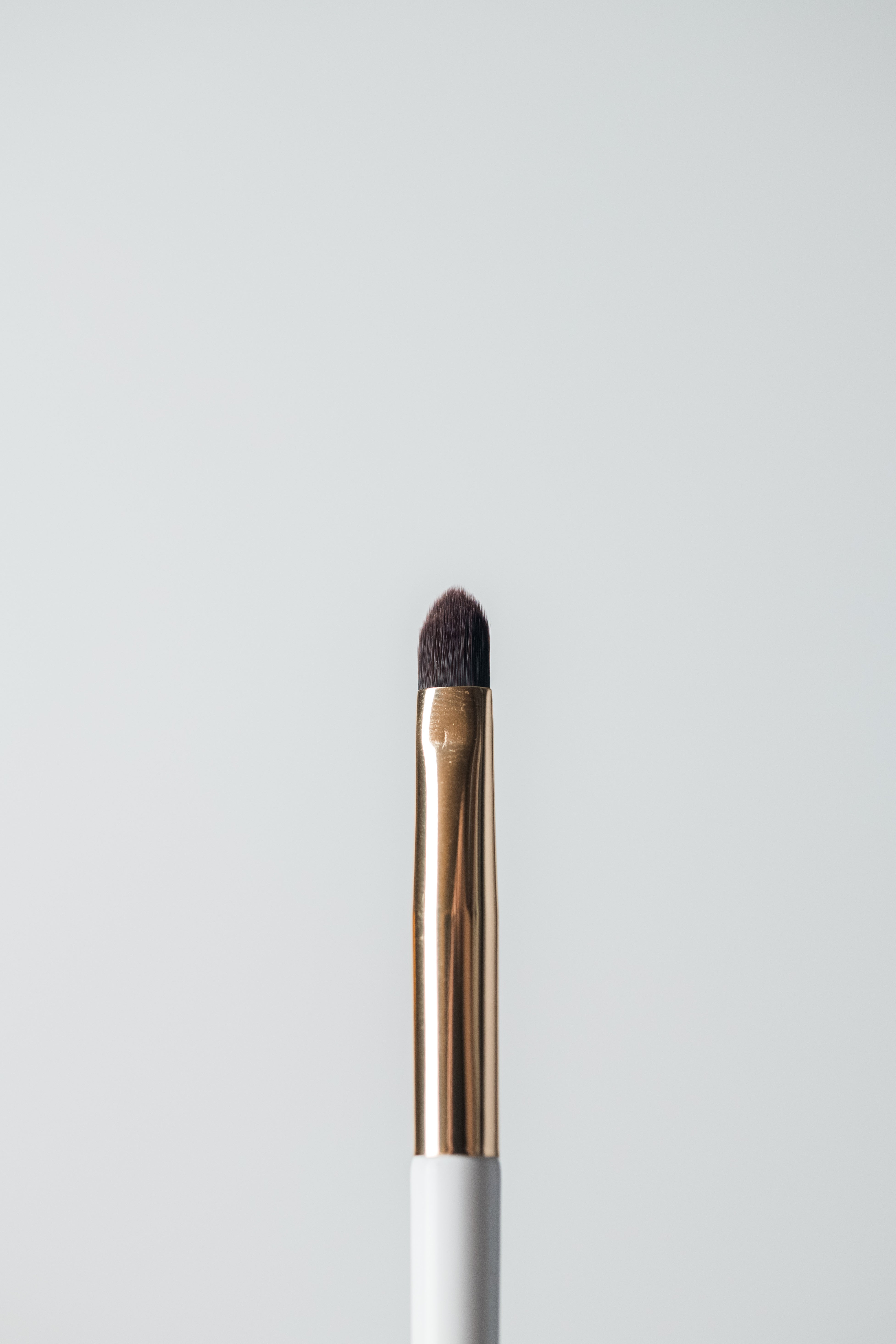 Lip Brush (L1)