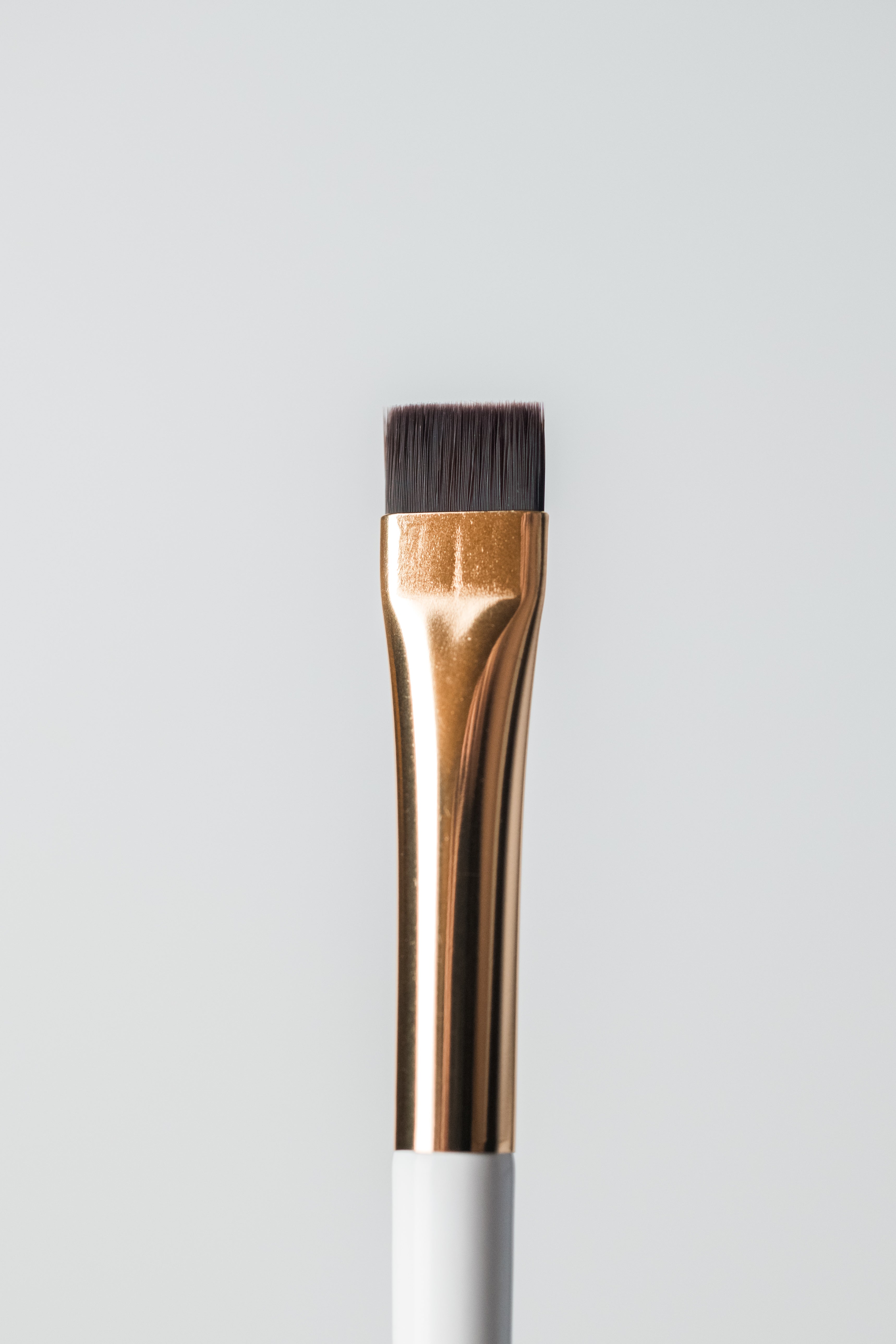 Carving Brush (E1)