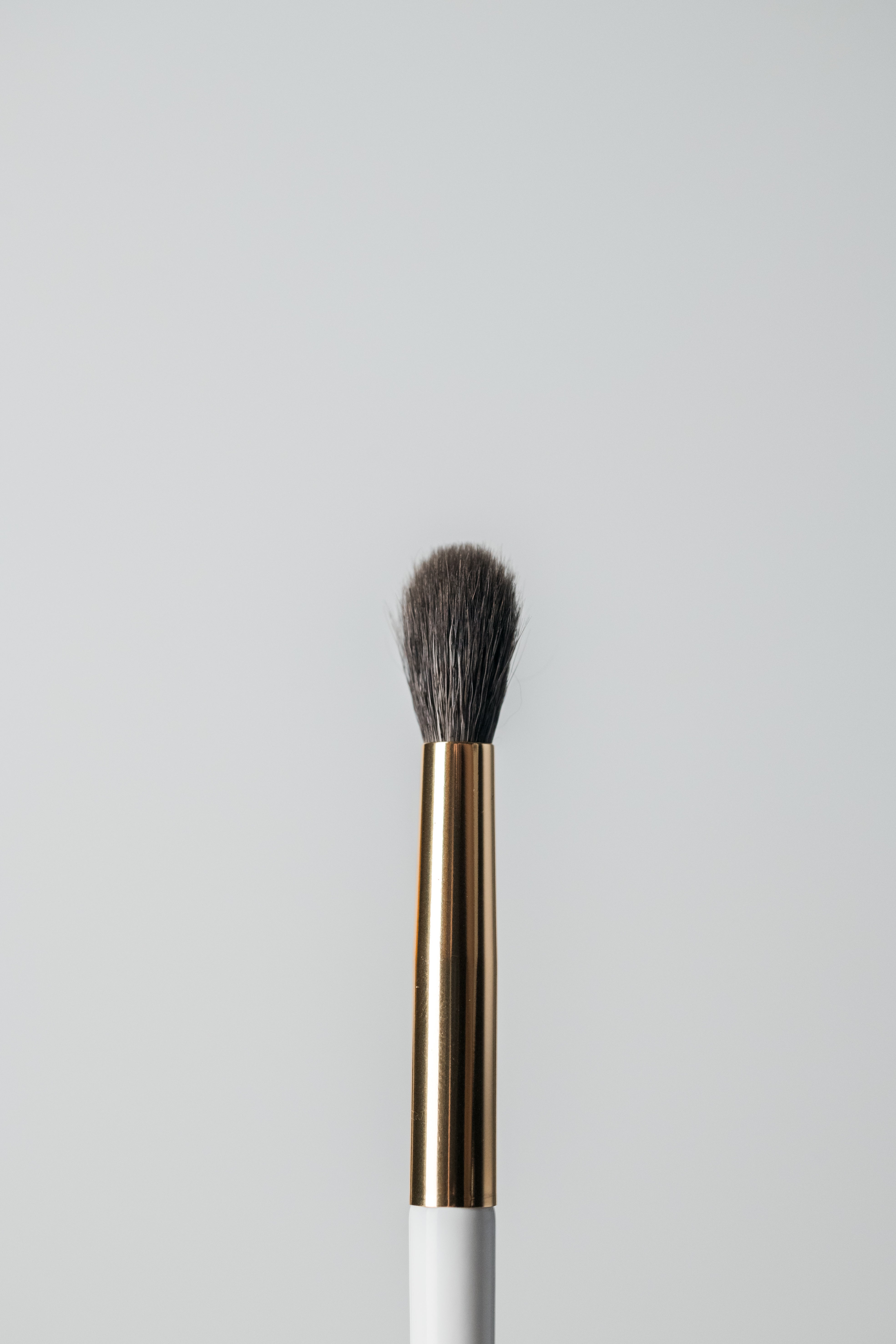 Large Blending Brush (E3)